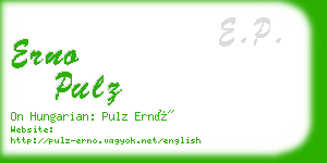 erno pulz business card